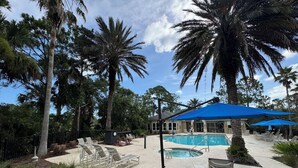 Un espace piscine avec des chaises longues, un parasol bleu et des palmiers.