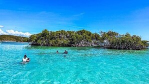 Un'isola tropicale con acque cristalline color turchese e una vegetazione lussureggiante.