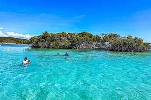 Miscellaneous - CLUB BALLENA #18 - CASA CORAL (La Parguera)
