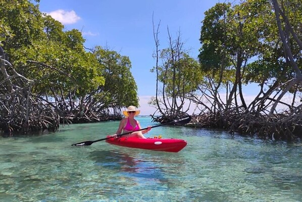 Una persona in un kayak rosso su acque limpide, circondata da mangrovie.