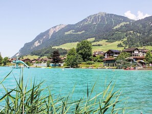 Miscellaneous - Lovely apartment for 6 guests with WIFI, patio and panoramic view (Lungern)