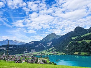 Miscellaneous - Lovely apartment for 6 guests with WIFI, patio and panoramic view (Lungern)