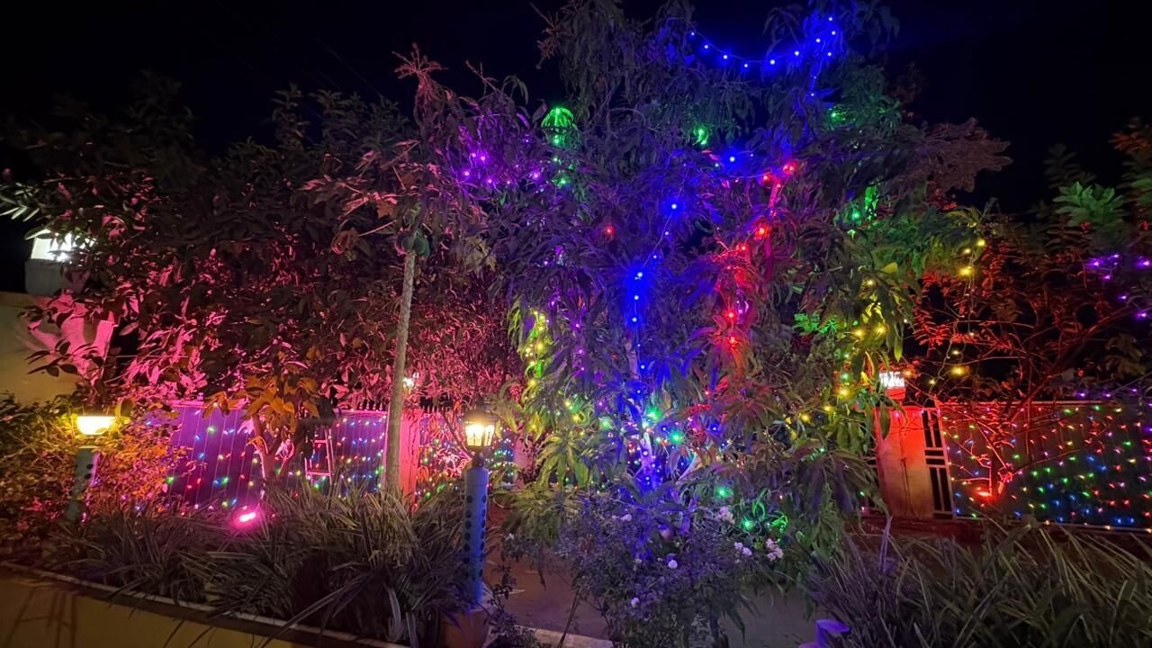 A garden with trees and plants illuminated by colorful lights.