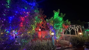 A garden with trees and a greenhouse structure.