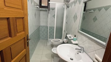Shower, hair dryer, bidet, towels