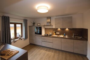 A modern kitchen with a built-in oven, a sink, and a window with curtains. - Appartement Neumayer (Viehhofen)