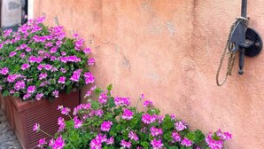 Une branche en bois rustique, fixée au mur, agrémentée de fleurs et d’une plante en pot.