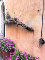 Detalle exterior