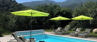 Sable Suite, with views of the pool, mountains, and terrace