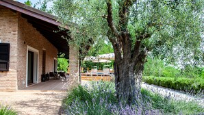 A brick building with a covered patio, a large tree, and a garden with purple flowers.