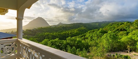 Terrain de l’hébergement