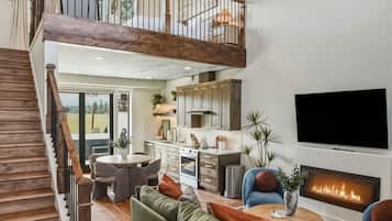 Smart TV, fireplace, books