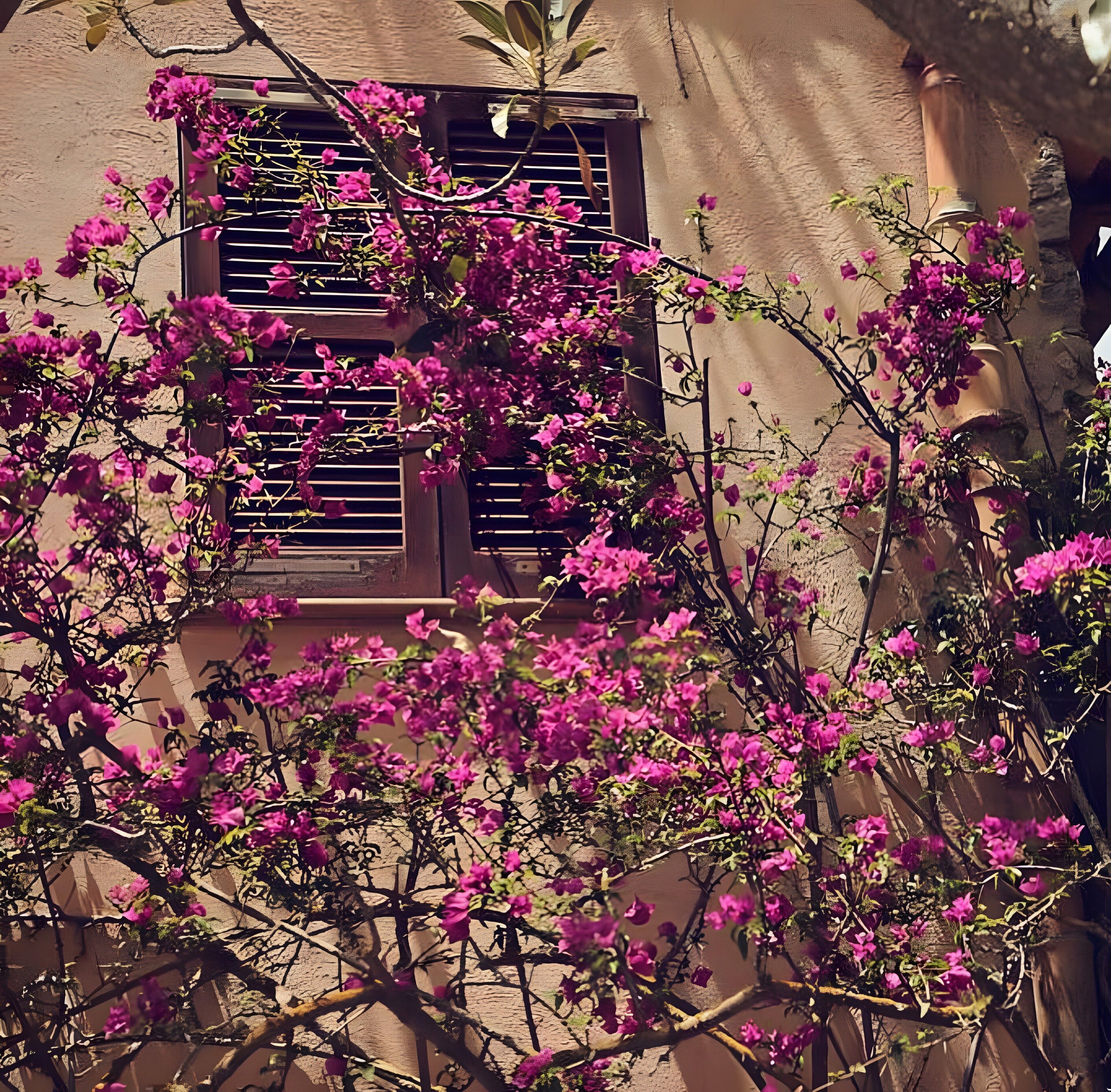 Detalle del exterior
