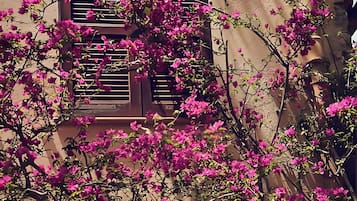 Detalle del exterior
