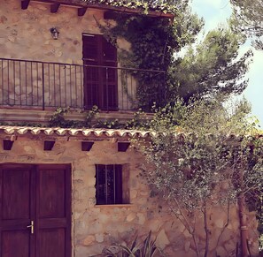 Detalle exterior