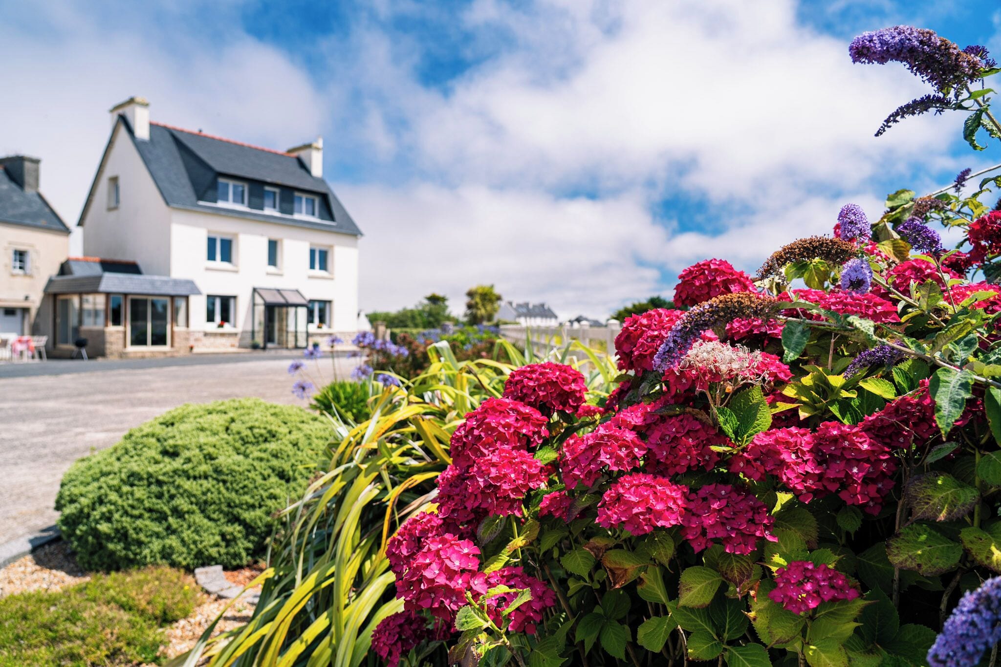 Ein Wohnhaus mit weißem Anstrich, einer Auffahrt und einem Garten mit rosa Hortensien und anderen Pflanzen.