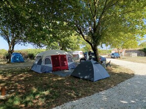 Property grounds - Vintage Mobile Home (Bourcefranc-le-Chapus)
