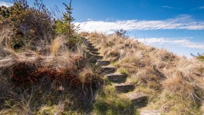 A set of stone steps leading up a grassy hill with sparse vegetation and a clear sky. - 4 Star Holiday Home in Saltum (Saltum)