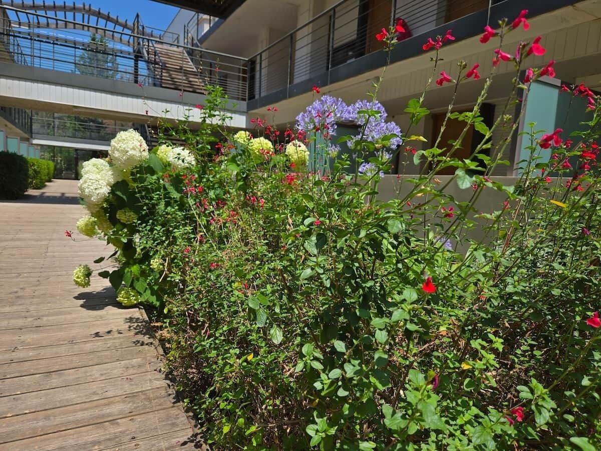 Une terrasse en bois agrémentée d’une végétation luxuriante et de fleurs.