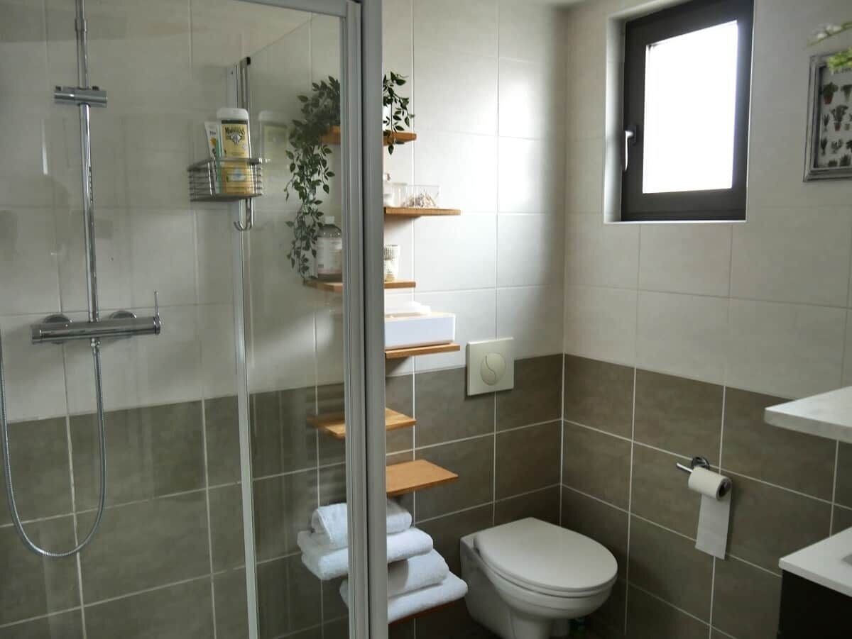 A bathroom with a glass-enclosed shower, a toilet, and shelves with toiletries.