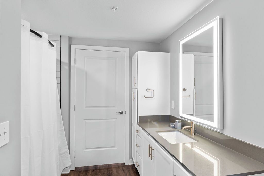 Une salle de bain avec une porte blanche, un lavabo avec un miroir et un rideau de douche.