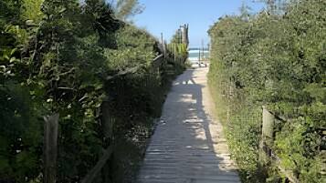 A narrow wooden pathway flanked by dense greenery, leading towards a distant view.