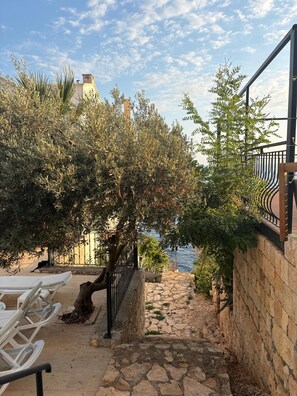 A stone staircase leading to a terrace with a view of the sea, surrounded by olive trees and a railing.
