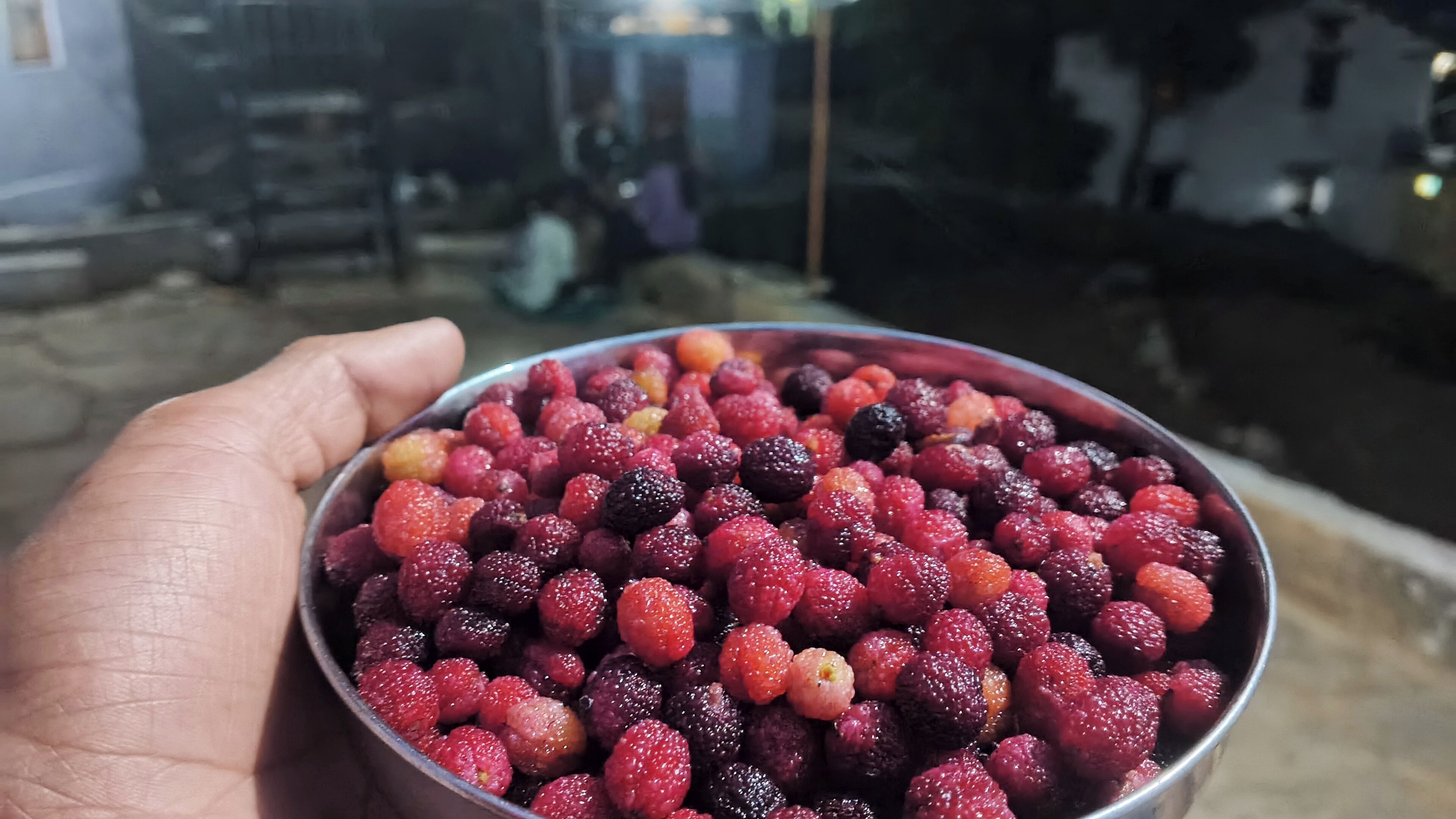 Una mano sostiene un tazón con frutos rojos.