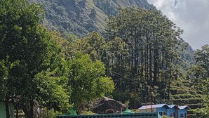 Un edificio rústico con fachada de piedra, techo verde y un pequeño porche con plantas en macetas.