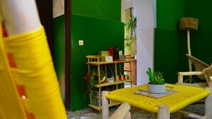 Una stanza con una parete verde, uno scaffale di legno con libri e piante, un tavolo giallo con una pianta in vaso e una sedia.