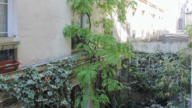 Een gebouw met een balkon, een raam en een plant die op de muur groeit.