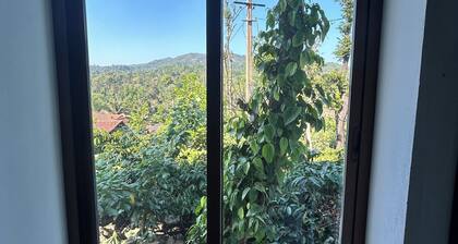Lovely 6-bedroom estate in Hoskeri perfect for group getaways