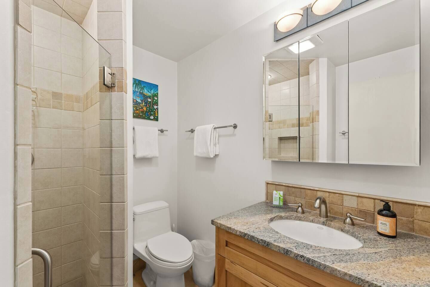 Baño con ducha, inodoro, lavabo y un espejo grande.