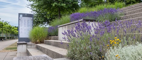 Un chemin de pierres mène à un escalier surmonté d’un panneau indicateur, le tout étant bordé de lavande et d’autres plantes.