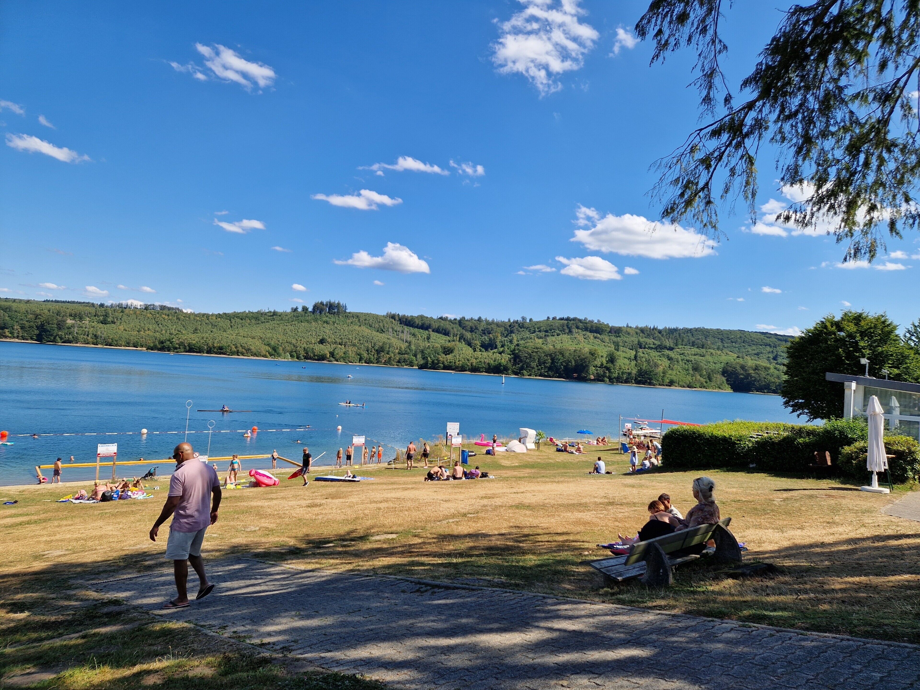 A lakeside park with a grassy area, trees, and a clear blue sky.