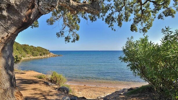 A coastal landscape with a clear view of the sea, a sandy beach, and a tree with a natural arch. - Villa Arasu - Private, gated estate 100 meters from the beach - Punta d'Araso (Zonza)