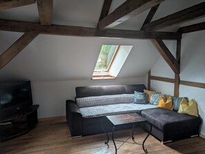 Fernseher, Kamin