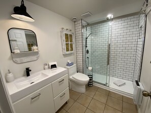 Douche, baignoire à jets, sèche-cheveux, serviettes fournies