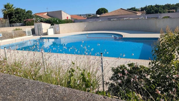 En swimmingpool med klart, blått vatten, omgiven av en betongmur och lite grönska.