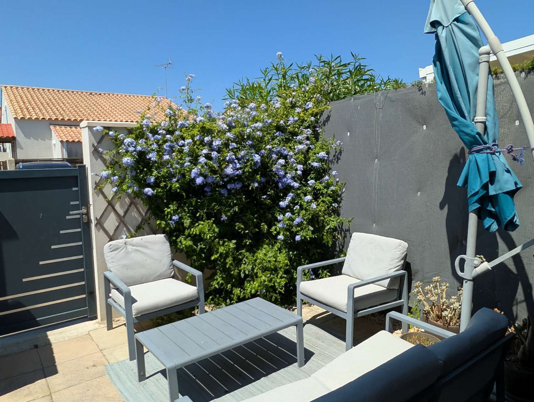 A patio with two chairs and a table, a blue flowering bush, and a grey wall.