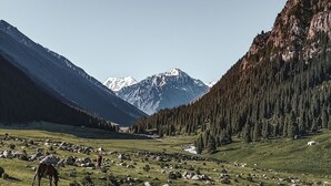 Un paysage montagneux où l’on aperçoit des chevaux au pâturage et des rochers épars.