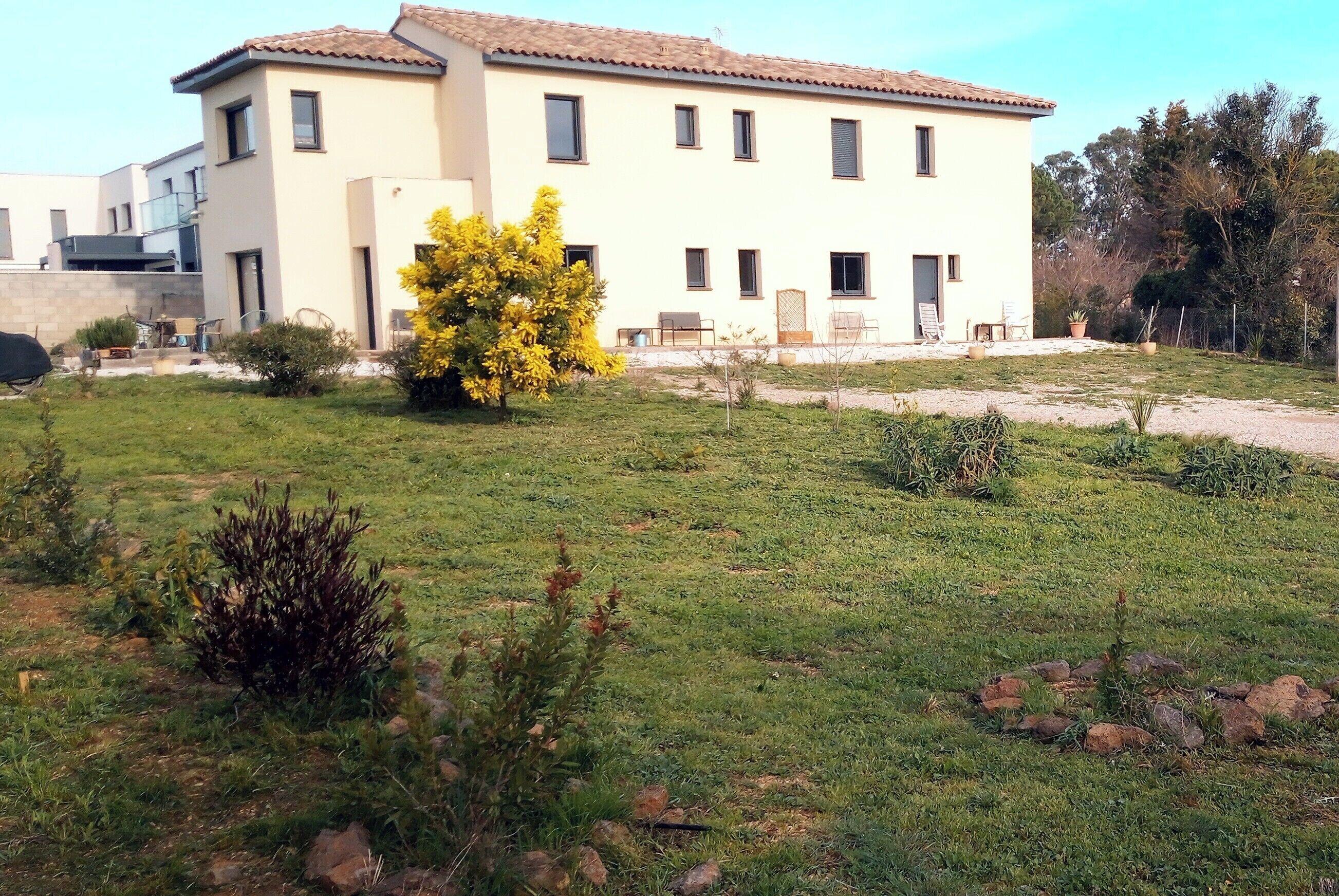 A two-story building with a flat roof, multiple windows, and a well-maintained lawn with small shrubs and a yellow flowering tree.