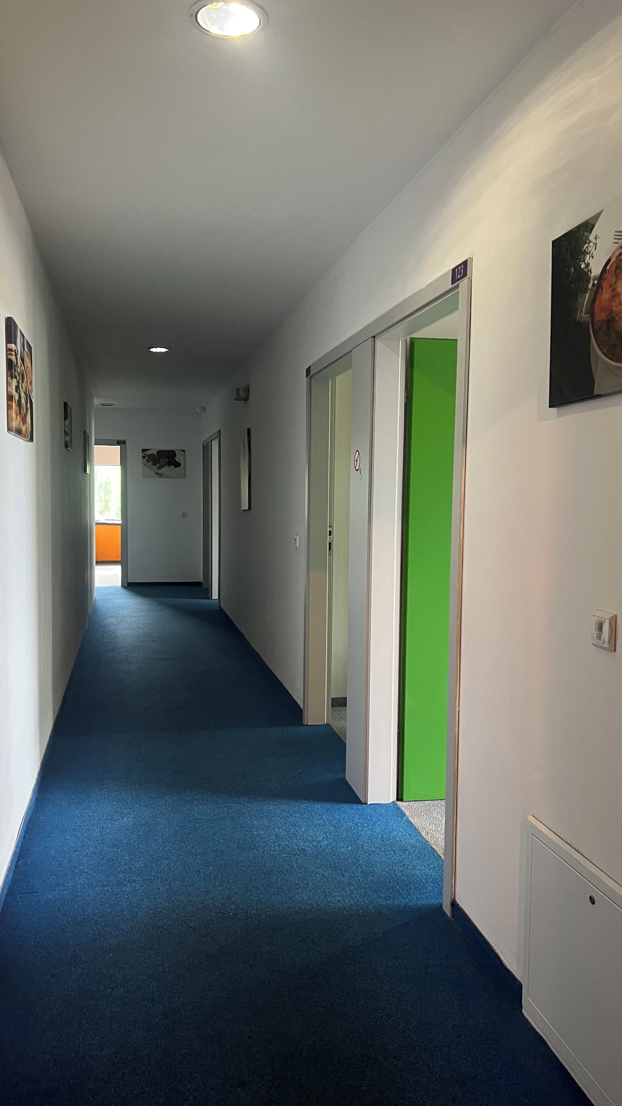 Un pasillo con alfombra azul, paredes blancas y una puerta verde.