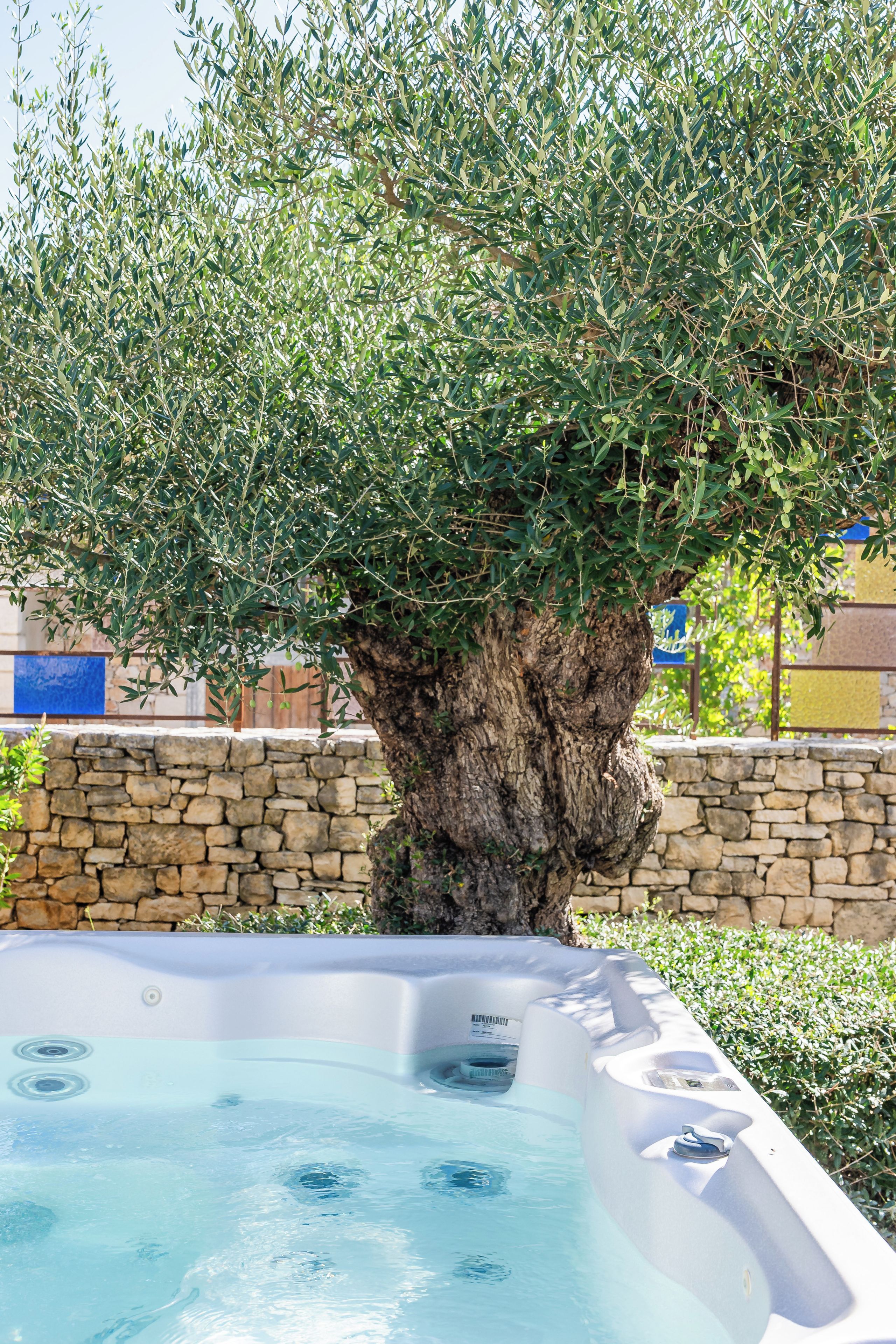 A hot tub with a stone wall and an olive tree in the background.