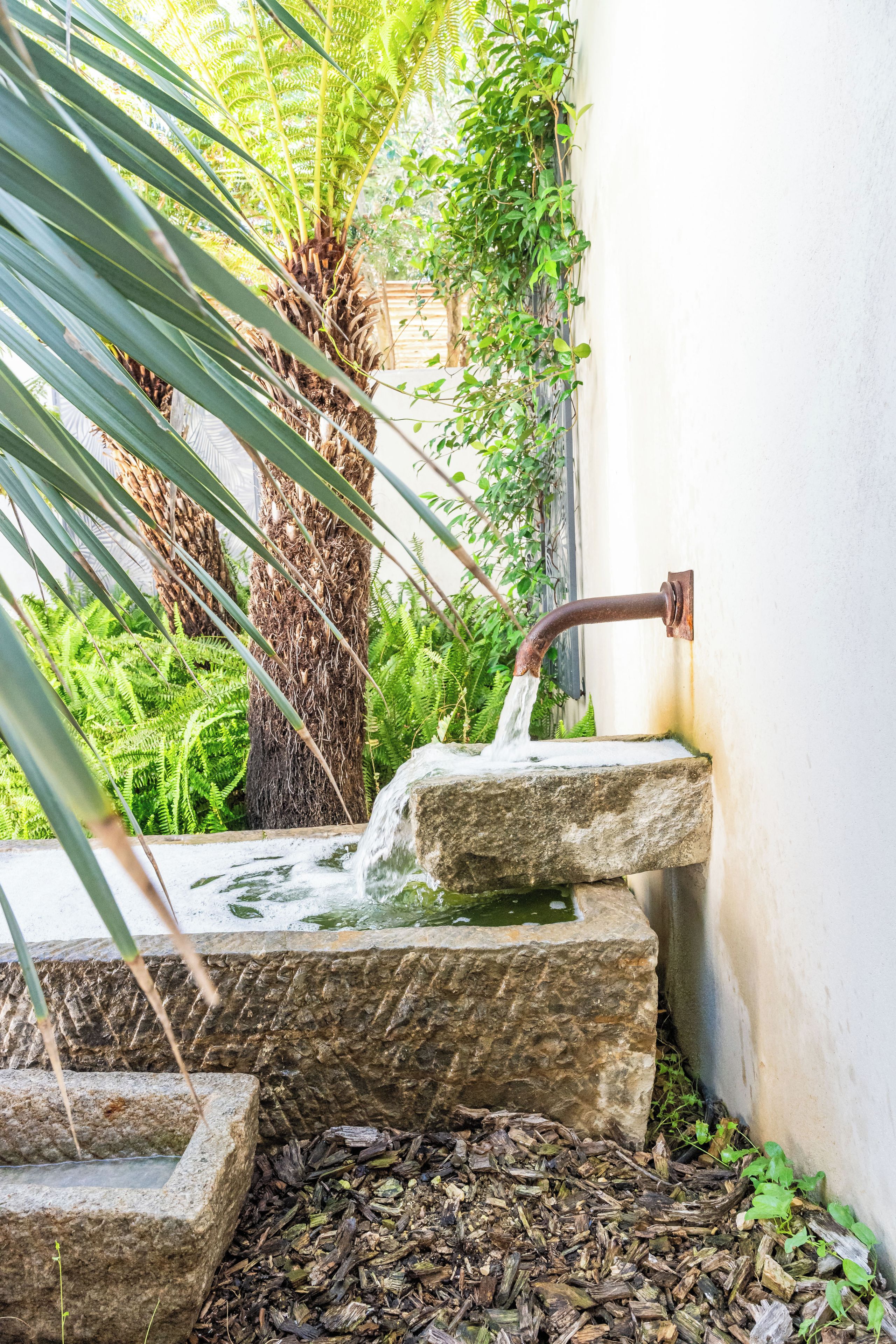 A stone water feature with a spout, surrounded by greenery and a white wall.