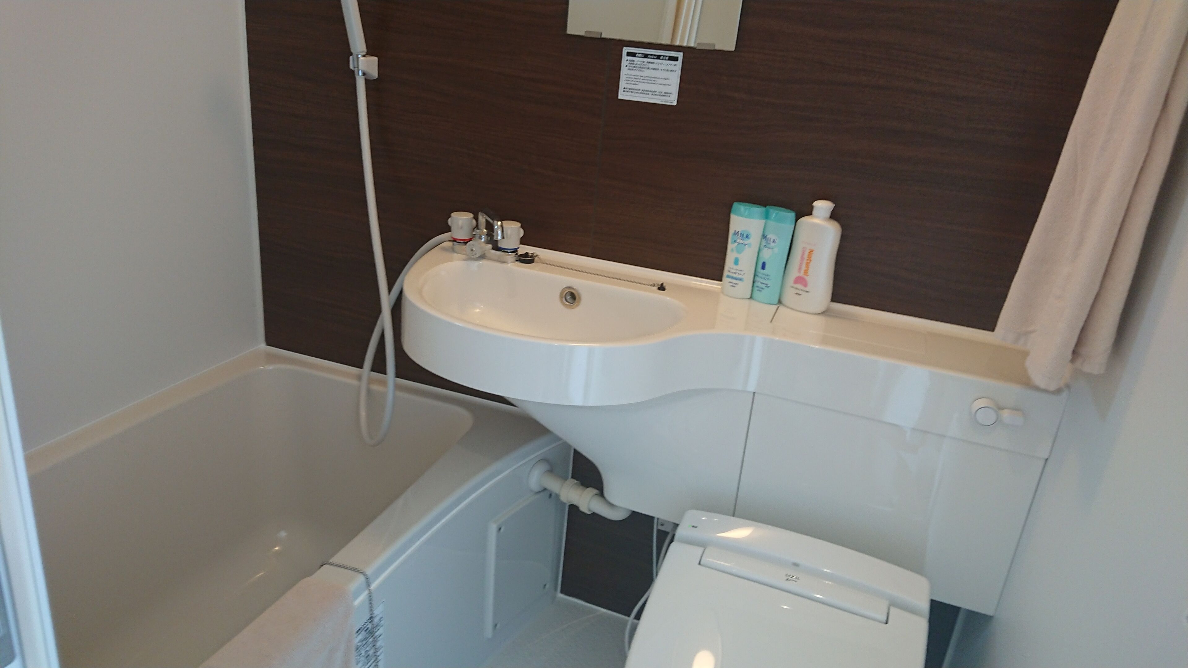 Economy Cottage, Ocean View | Bathroom | Hair dryer, towels, soap, shampoo