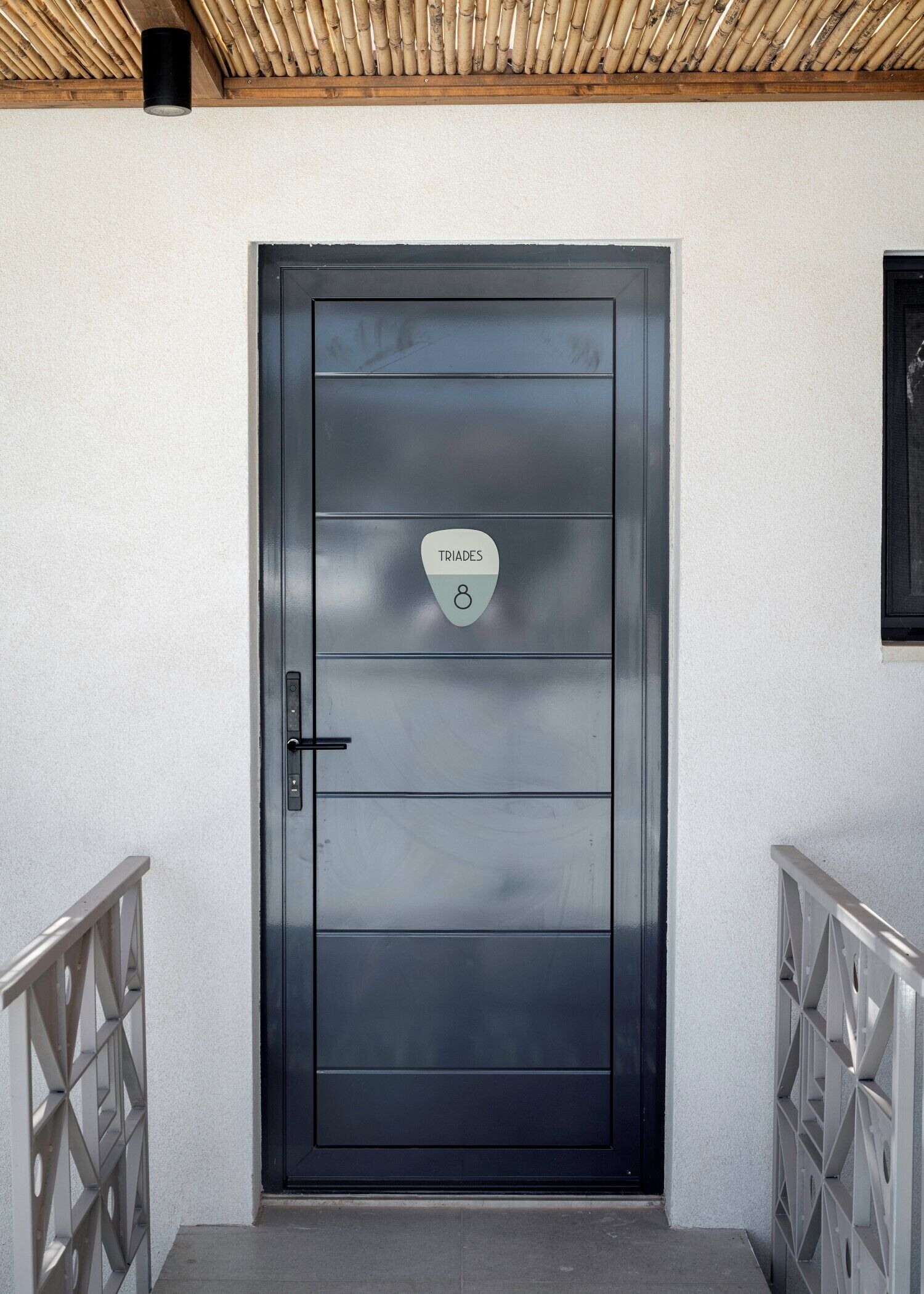 A modern, metallic door with a sign indicating 'TRIAIDES 8' and a metal railing on the left.