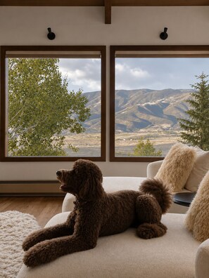 Ein Zimmer mit großem Fenster, einem Hund und einem Sofa.