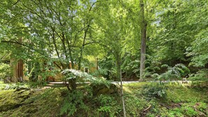 A natural landscape with a stream, trees, and a wooden structure partially visible. - Creekfront Cottage, scenic views, dog-friendly, firepit, gas grill, gas fireplace (Weaverville)