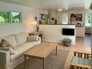 Fernseher, Kamin